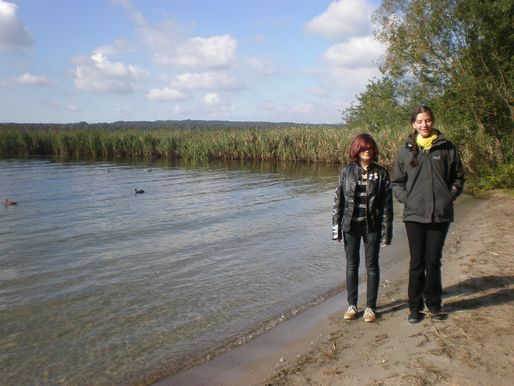Bild-12