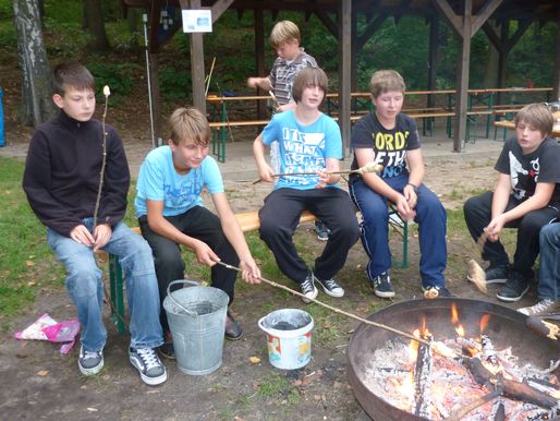 Bild-8