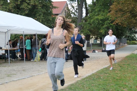 Bild-30
