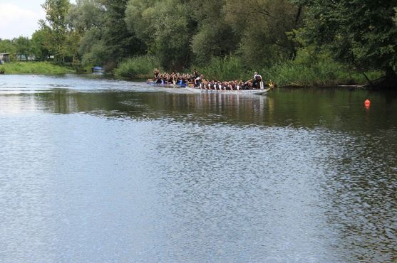 Bild-45