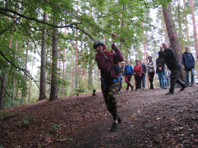 Bild-8