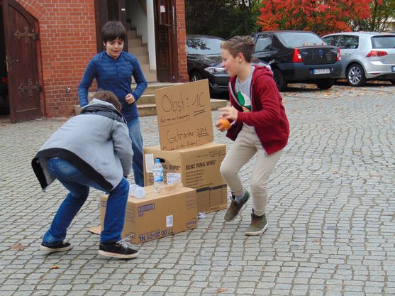Bild-7