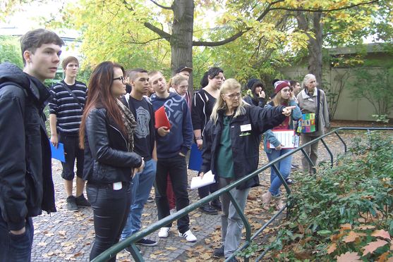 Bild-5
