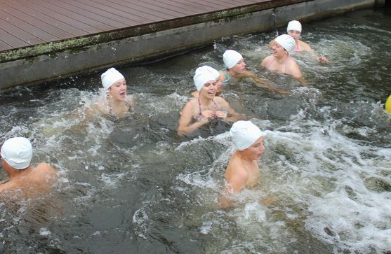 Bild-3