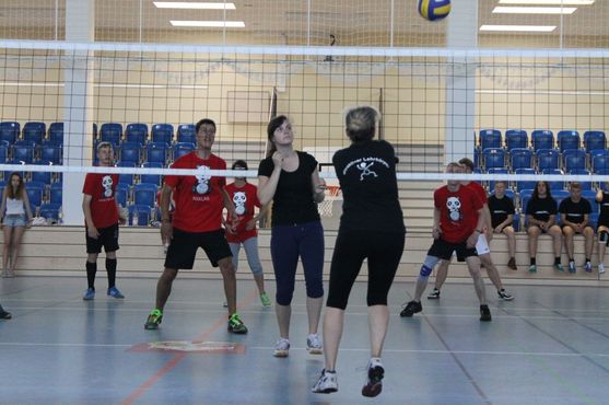 Bild-38