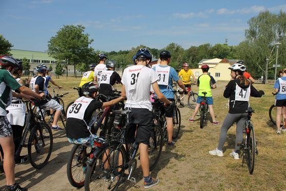 Bild-8