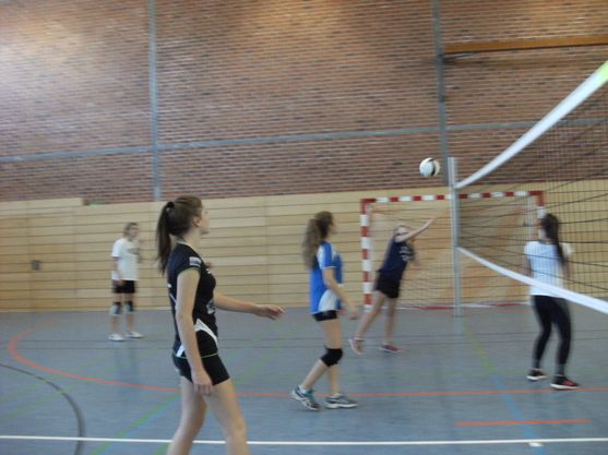 Bild-6