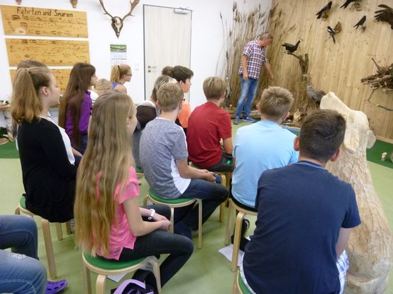 Bild-11
