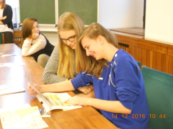 Bild-4