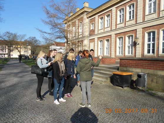Bild-4