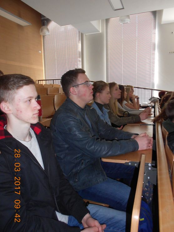 Bild-10