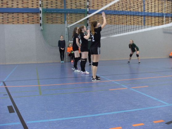Bild-1