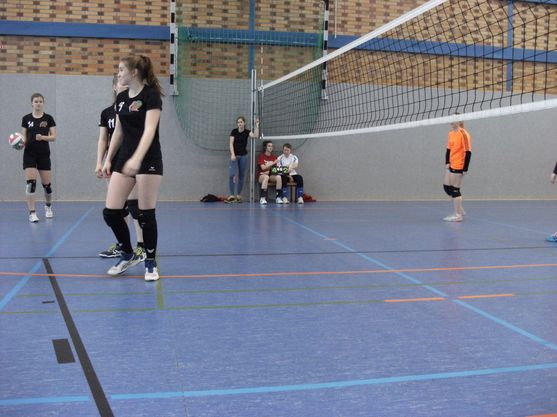 Bild-6