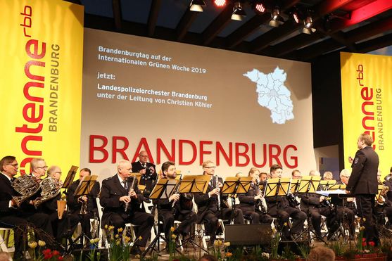 Bild-2