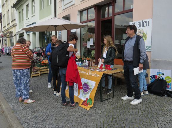 Bild-0