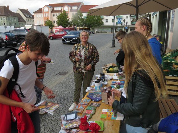 Bild-1