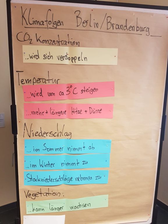Bild-4