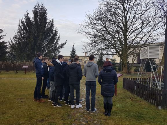 Bild-8