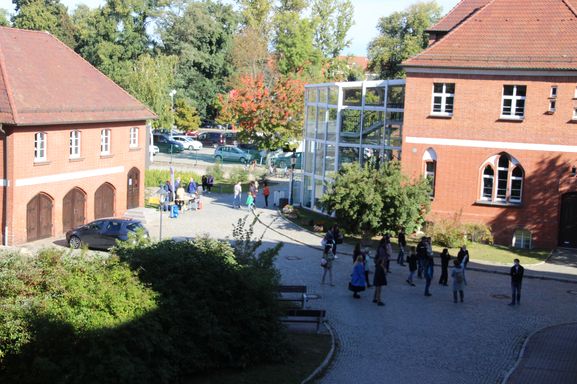 Bild-24
