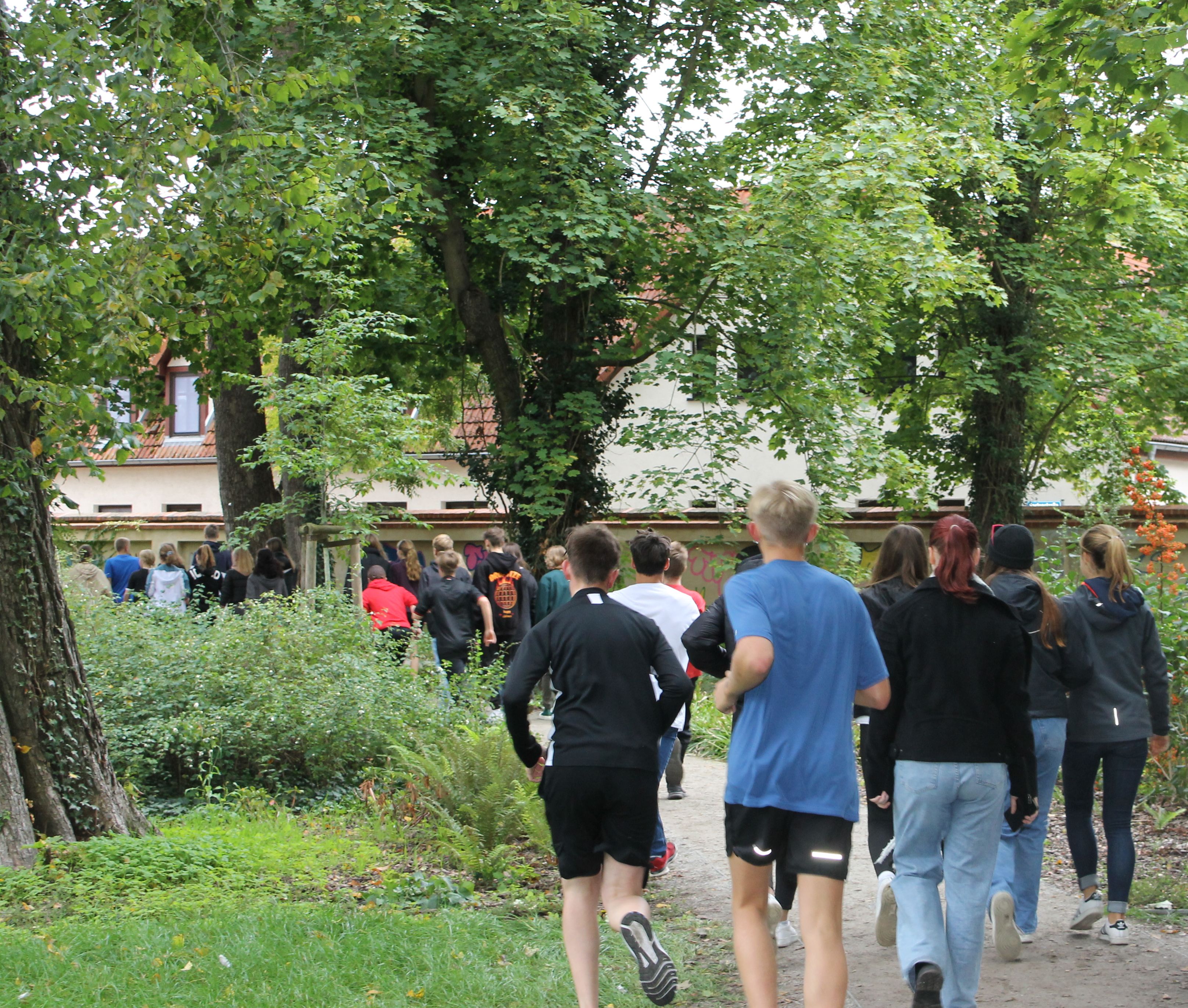 Bild-1